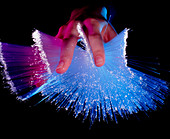 Spray of optical fibres conducting coloured light