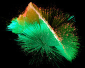 Spray of optical fibres conducting coloured light