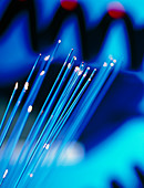 Optical fibres in front of a telephone cable