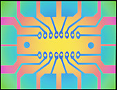Computer artwork representing a circuit b