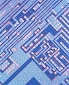 Integrated microchip