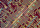 LM of surface of an integrated circuit
