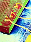 False-colour SEM of an integrated circuit