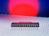 Macrophoto of an integrated circuit