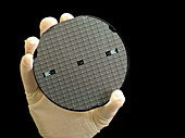 Gloved hand holding processed silicon wafer