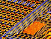 Coloured SEM of surface of an EPROM silicon chip