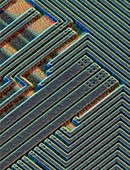 Coloured SEM surface of an integrated silicon chip