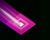 Packaged electronic chip,motion effect