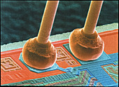 SEM of integrated circuit micro-wires