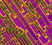 Microchip circuitry,SEM