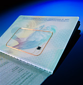 Biometric passport chip