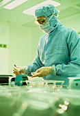Technician prepares microchip wafers in clean room
