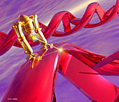 Nanorobot on DNA