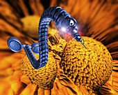 Nanorobot attacking cancer cell