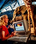 Girl uses the internet at Natural History Museum