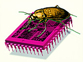 Artwork of millennium bug with beetle on microchip