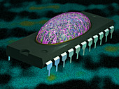 Brain on a chip