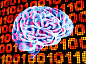 Digital brain