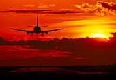 Boeing 737 landing at sunset