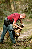 Mountain rescue worker and dog