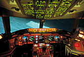 Flight simulator