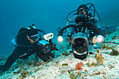 Underwater filming