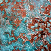 The effect of corrosion on a copper sheet