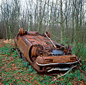 Rusting car