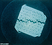 X-ray microscope image of crack in composite