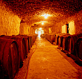 Wooden casks of maturing red wine,Portugal