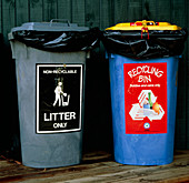 Recycling bin and litter bin,Tasmania