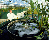 Technician & an ecological water treatment system