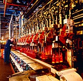 Technician checks production line of glass bottles