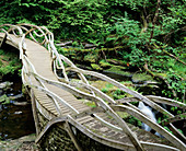 Woodland footbridge
