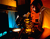 Researcher at the BOC group Technical centre