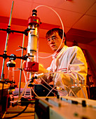 Scientist working with chromatography equipment