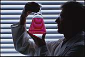 Laboratory technician holding a conical flask