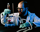 Chemist with distillation apparatus
