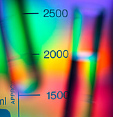 View of test tubes seen through a beaker