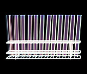 Test tubes in a rack,X-ray