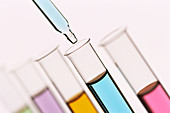 Pipetting liquid into test tubes