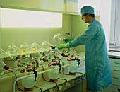 Chemist working in a laboratory