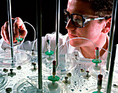 Lab technician checking drug dissolution test