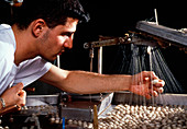 Textile worker with silk moth cocoons for weaving