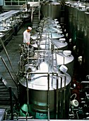 Quality control in a yoghurt-making factory