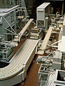Loaves of dough on a bread production line