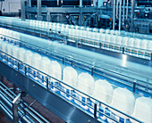 Milk processing
