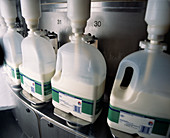 Milk processing