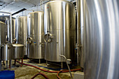 Vats in microbrewery