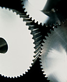 View of cogs from a gear system